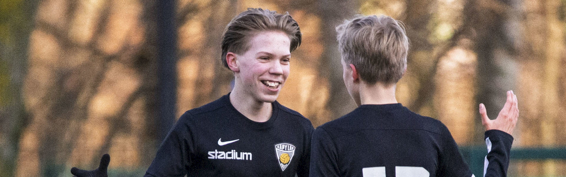 Käpylän pallo