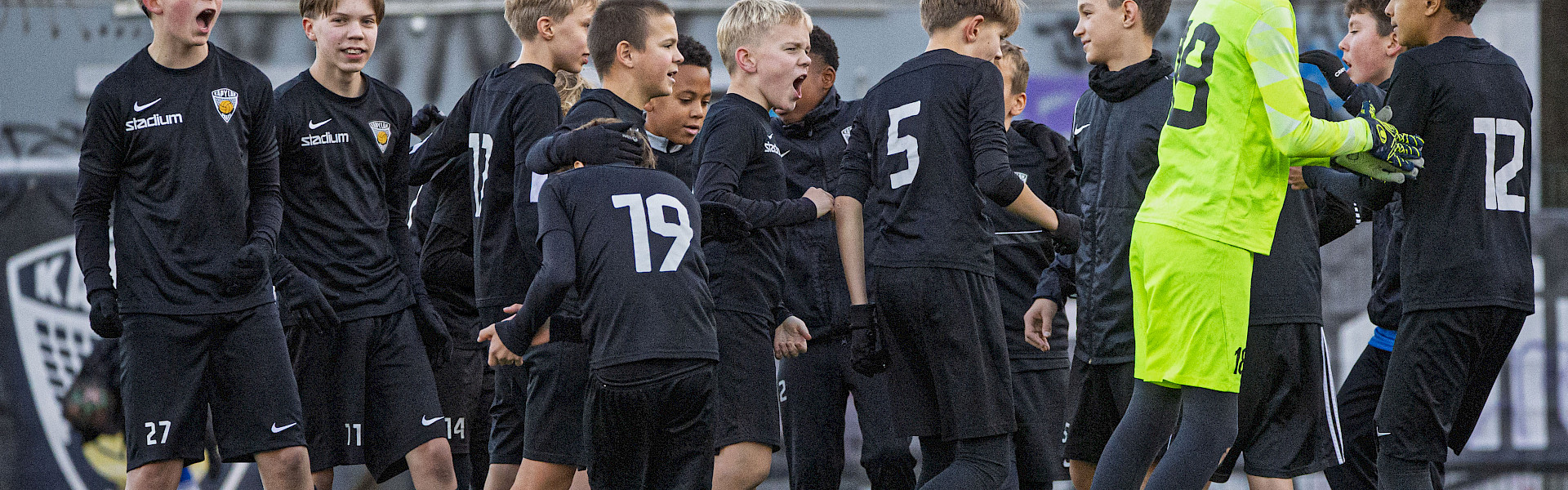 Käpylän pallo