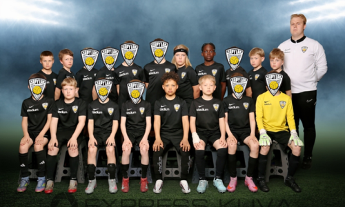 2015 City 1